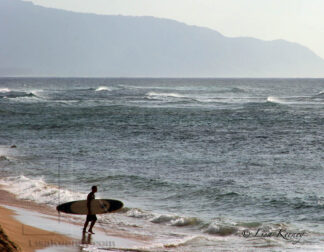 Photo of surfer in Hawaii.