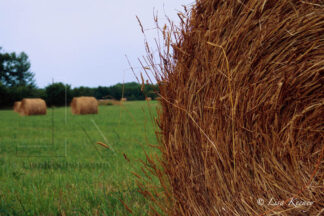 Photo of hay bale.