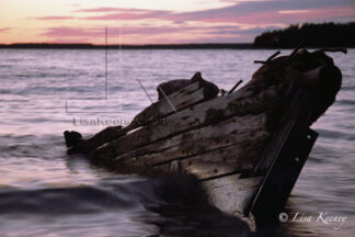 Photo of shipwreck on the shore.