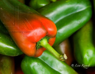 Photo of red and green peppers.