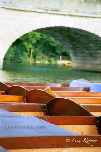 Photo of punting.